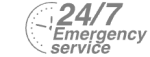 24/7 Emergency Service Pest Control in Holloway, N7 . Call Now! 020 8166 9746